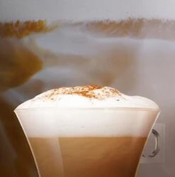 Nescafé Dolce Gusto Cappuccino Capsules - 90 Koffiecups 13 Nescafé Dolce Gusto Cappuccino Capsules - 90 Koffiecups -Koffie Verkoop Winkel 1190x1200 3