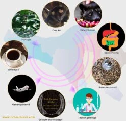 Kopi Luwak Koffie. 35 Gram Ongemalen Bonen. Direct Trade. Single Origin. The Original By Rich.Exclusive. -Koffie Verkoop Winkel 1200x1153 1