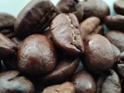 Voordeelpakket: Den Leeuw Lungo (80 Koffiecups) - Roast Koffiecups - Echte Hollandsche Koffie Van Den Leeuw In Nespresso Cups - Nespresso Compatibele Koffie Cups -Koffie Verkoop Winkel 1200x900