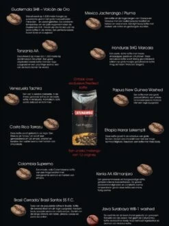Catunambú Predilect Koffiebonen 1 Kilo - Premium Kwaliteit - Horecakoffie Voor Thuis - Ultiem Koffiegenot 7 Catunambú Predilect Koffiebonen 1 Kilo - Premium Kwaliteit - Horecakoffie Voor Thuis - Ultiem Koffiegenot -Koffie Verkoop Winkel 897x1200 1