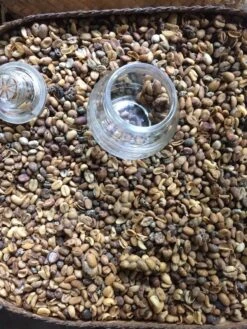 Kopi Luwak Koffie. 35 Gram Ongemalen Bonen. Direct Trade. Single Origin. The Original By Rich.Exclusive. -Koffie Verkoop Winkel 900x1200